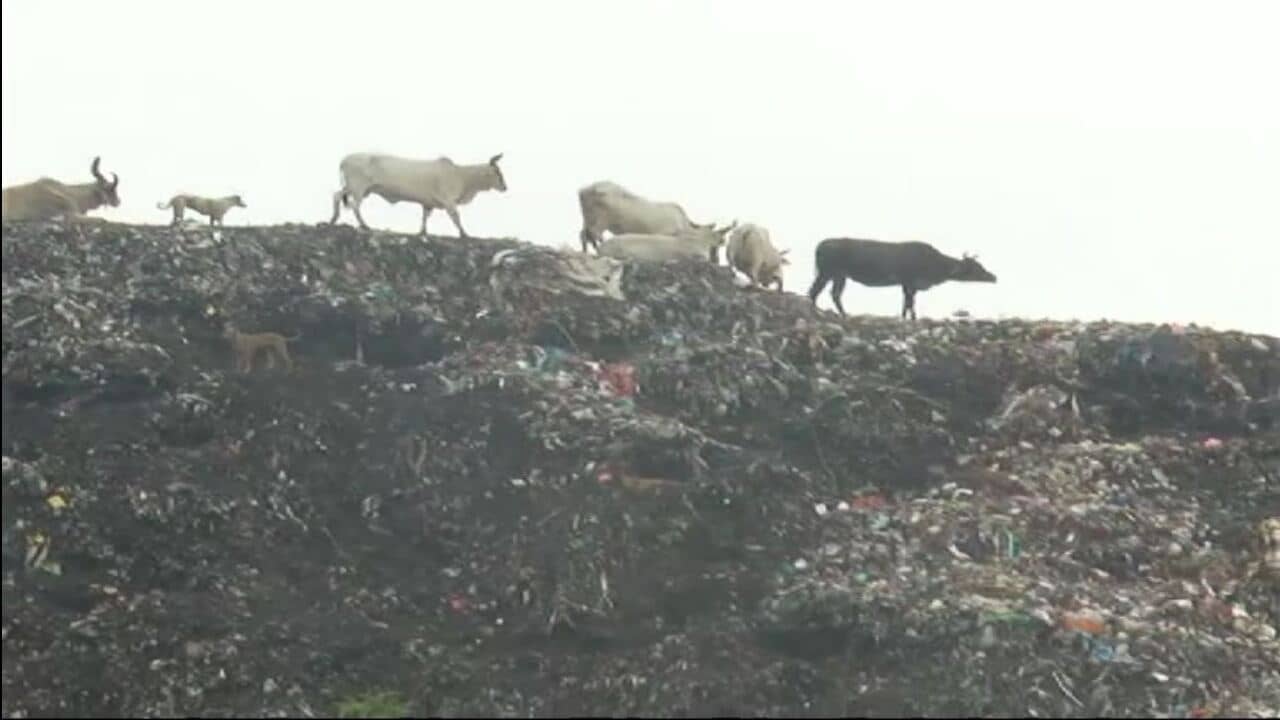 બનાસકાંઠા: પાલનપુરમાં લોકો છેલ્લા 5 વર્ષથી ડમ્પીંગ સાઈટથી પરેશાન, 20 સોસાયટીના લોકોના આરોગ્ય સામે ખતરાની ઘંટી