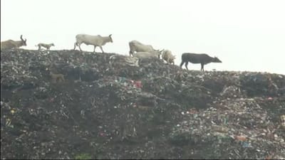 બનાસકાંઠા: પાલનપુરમાં લોકો છેલ્લા 5 વર્ષથી ડમ્પીંગ સાઈટથી પરેશાન,  20 સોસાયટીના લોકોના આરોગ્ય સામે ખતરાની ઘંટી