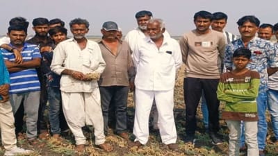 Junagadh : ચણામાં રોગને કારણે પાક નિષ્ફળ જતા ઘેડ પંથકના ચિંતાતુર ખેડૂતોએ વ્યક્ત કરેલી વ્યથાને જુઓ Videoમાં