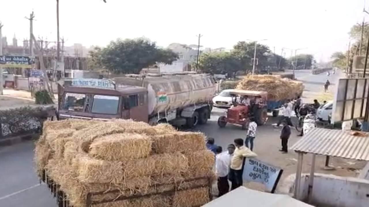 Video: મહેસાણાના કડીના કાસ્વા ગામે ઉત્તરાયણ પર્વે પરંપરા મુજબ પાંજરાપોળમાં 20 ટ્રેક્ટર ઘાસના પૂળાનું દાન કરાયું