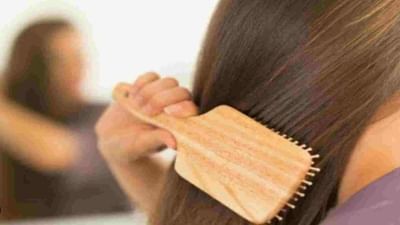 Hair Care Tips:  આ ફળો અને શાકભાજી વાળની ઝડપી વૃદ્ધિ માટે મદદરૂપ બનશે, આજે જ તેને ડાયટમાં સામેલ કરો