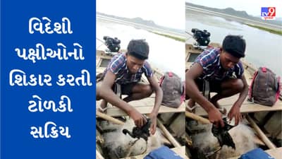 Banaskantha : દાંતીવાડા ડેમમાં વિદેશી પક્ષીઓનો શિકાર કરતી ટોળકી સક્રિય, શિકારનો Video viral