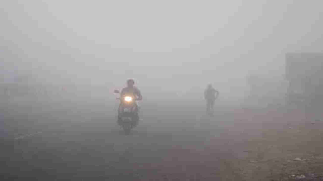 Gujarat Weather Update : અમદાવાદ, ગાંધીનગર સહિત અનેક શહેરોમાં ગાઢ ધુમ્મસ, વિઝિબિલિટી ઝીરો થતા વાહન ચાલકોને હાલાકી
