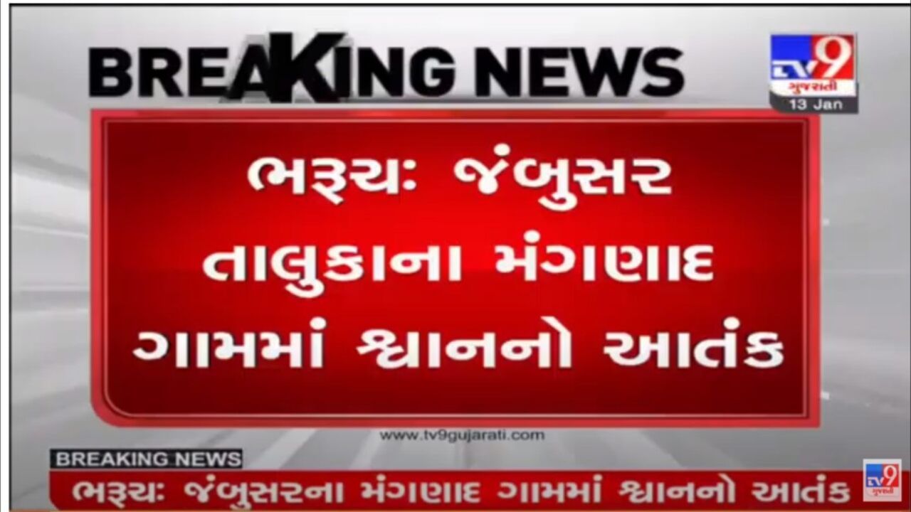 Video : જંબુસરના મંગણાદ ગામે શ્વાનનો આતંક, 5 બાળકોને ઈજાગ્રસ્ત કર્યા