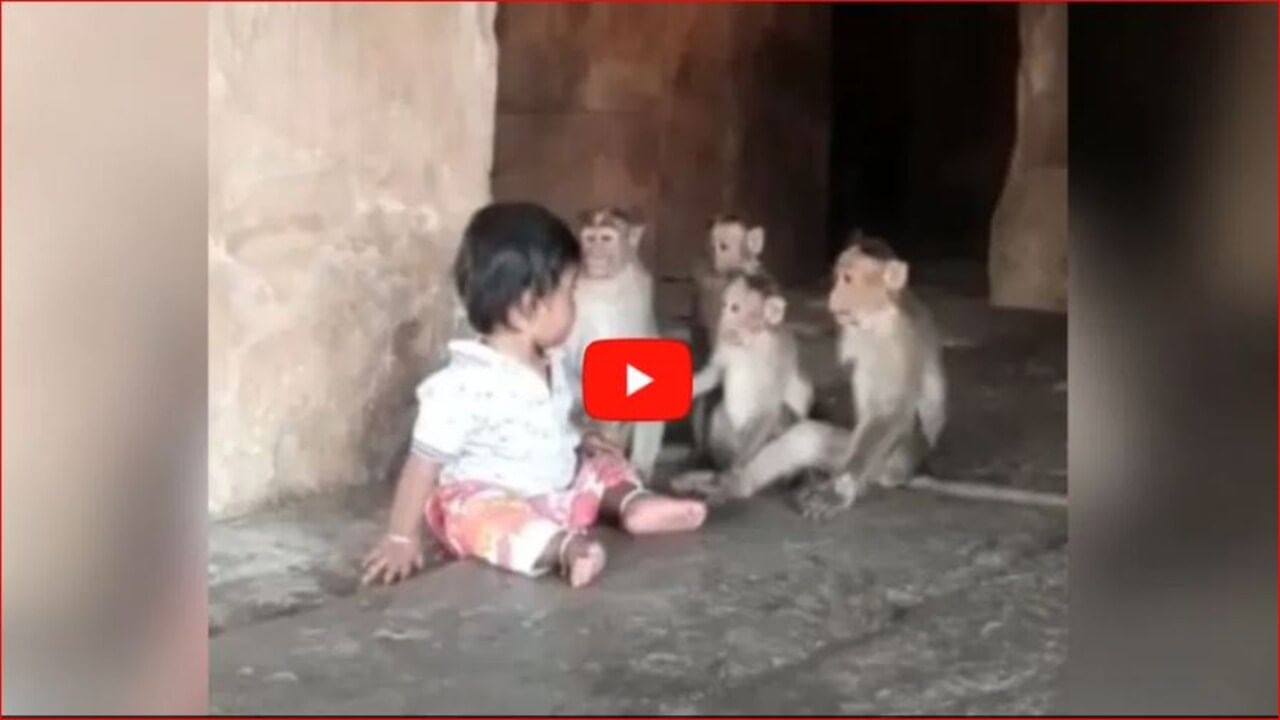 Viral Video: બાળકોને તો બક્ષી દો યાર... 4 વાનરો વચ્ચે ઘેરાયેલી માસૂમ બાળકીની REEL પર ભડક્યા લોકો