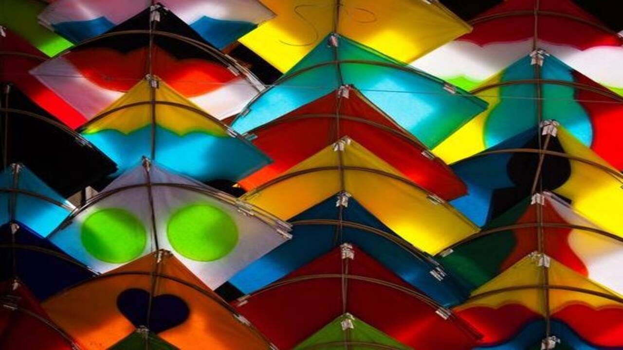 Makar Sankranti 2023: મકરસક્રાંતિના તહેવારને આનંદમય બનાવવા આ રીતે ઉજવણી કરો