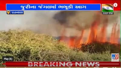 Video: પોરબંદરના રતનપર ગામે જુરીના જંગલમાં ફરી ભભુકી ઉઠી ભીષણ આગ, દૂર દૂર સુધી ઉડ્યા ધુમાડાના ગોટેગોટા