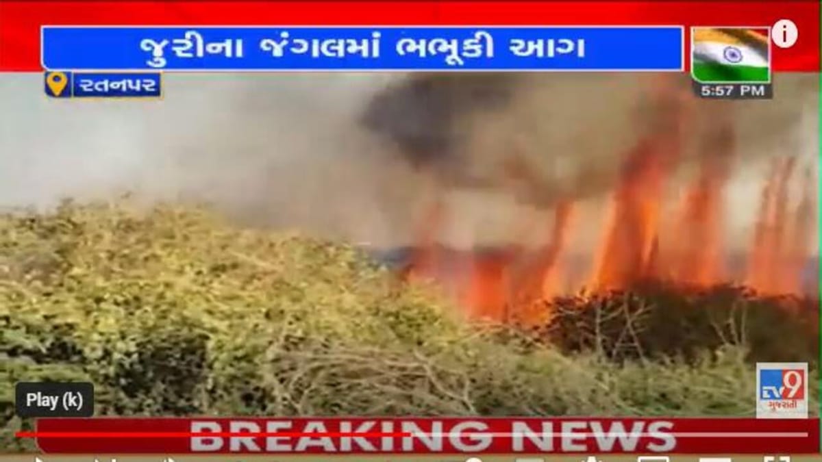 Video: પોરબંદરના રતનપર ગામે જુરીના જંગલમાં ફરી ભભુકી ઉઠી ભીષણ આગ, દૂર દૂર સુધી ઉડ્યા ધુમાડાના ગોટેગોટા
