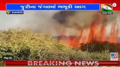 Video: પોરબંદરના રતનપર ગામે જુરીના જંગલમાં ફરી ભભુકી ઉઠી ભીષણ આગ, દૂર દૂર સુધી ઉડ્યા ધુમાડાના ગોટેગોટા