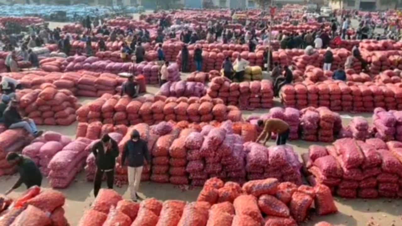Rajkot: ગોંડલ માર્કેટ યાર્ડમાં ડુંગળીની મબલખ આવક, 1 લાખથી વધુ ડુંગળીની ગુણીની આવક નોંધાઈ