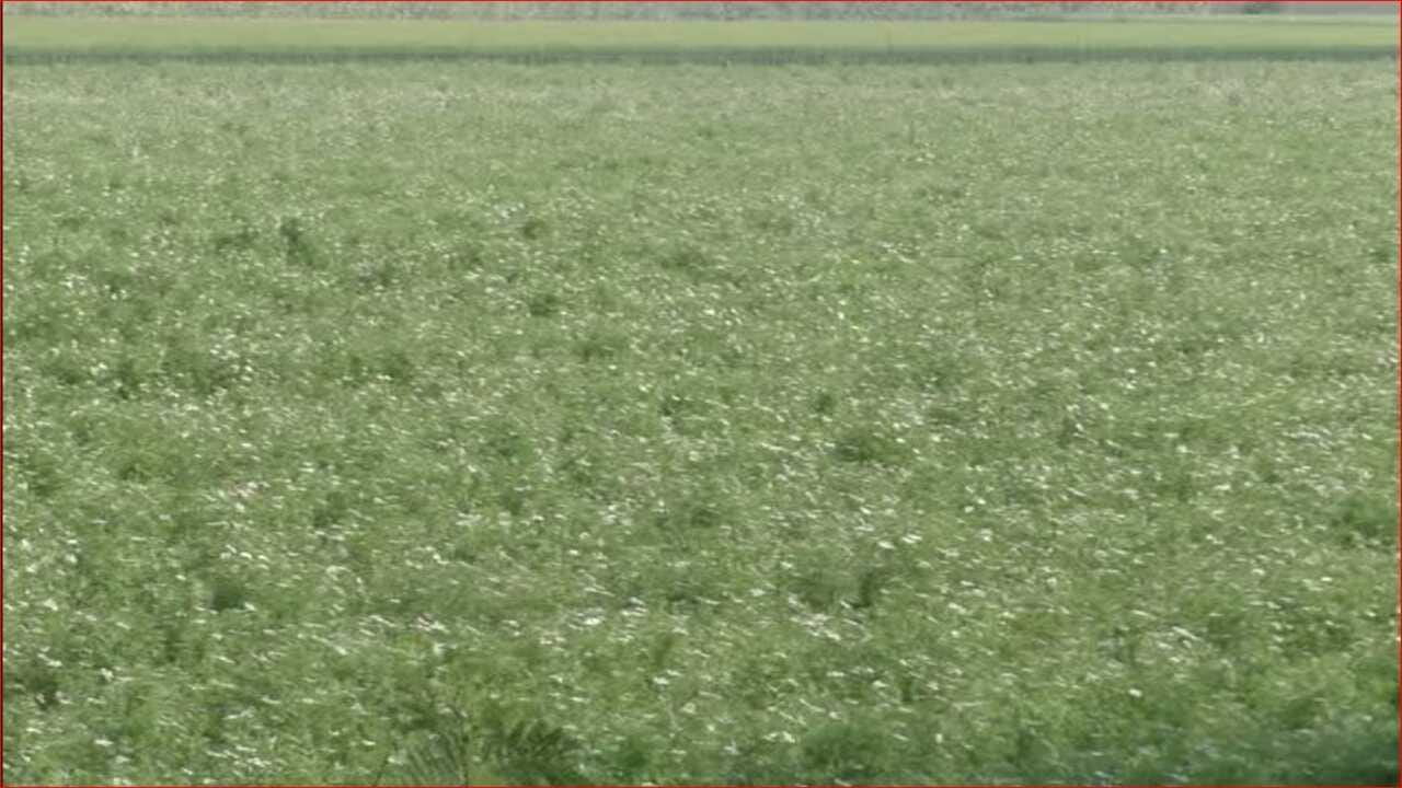 ગુજરાતી વીડિયો: મહિસાગર અને પંચમહાલ સહિત મધ્ય ગુજરાતના વાતાવરણમાં પલટો, વાદળછાયા વાતાવરણ સાથે વરસાદ ગુજરાતી વીડિયો: મહિસાગર અને પંચમહાલ સહિત મધ્ય ગુજરાતના વાતાવરણમાં પલટો, વાદળછાયા વાતાવરણ સાથે વરસાદ