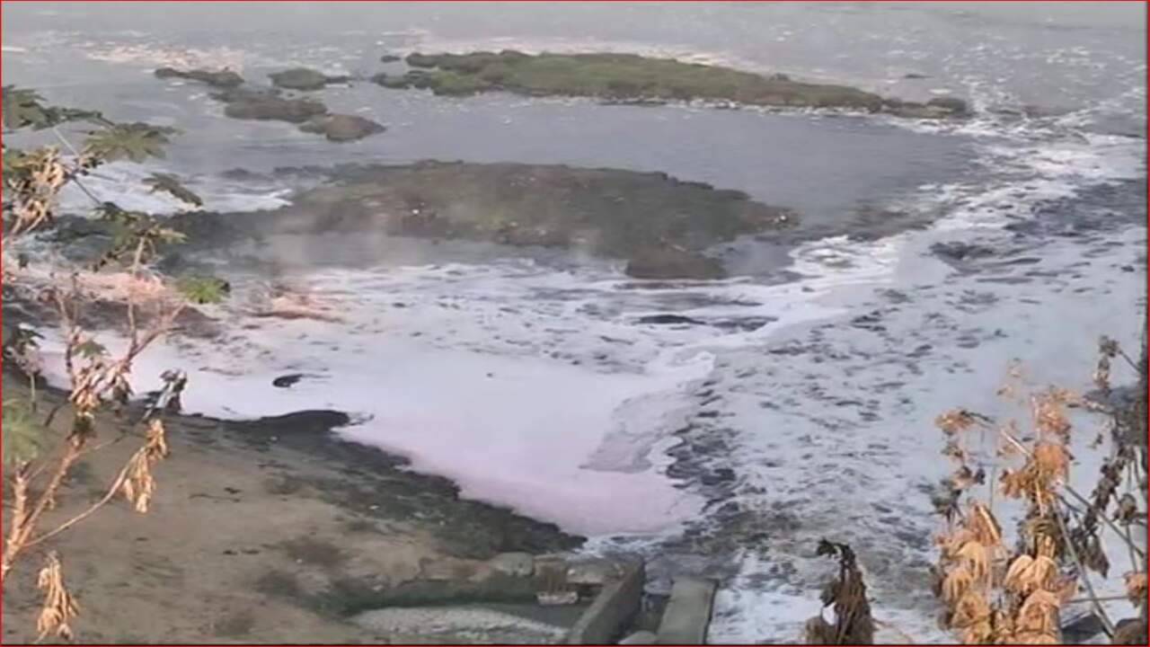 Video: અમદાવાદમાં સાબરમતી શુદ્ધિકરણના નામે કરોડોનું આંધણ છતા નદીમાં ચિંતાજનક હદે વધી રહ્યુ છે પ્રદૂષણ