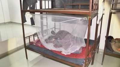 Video: જામનગરમાં ફુટપાથ પર રહેતા લોકો માટે કરાઈ રેનબસેરાની વ્યવસ્થા, રહેવા જમવા સહિતની તમામ સગવડ ઉપલબ્ધ