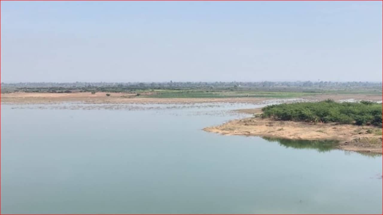 Video: બનાસકાંઠાના સીપુ ડેમમાં માત્ર 5 ટકા જ પાણી, ધાનેરા, ડીસા અને પાથાવાડાના 219 ગામોમાં પીવાના પાણીની તંગી