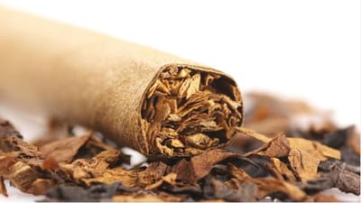 બીડી અને સિગારેટ થઈ શકે છે મોંઘી, આ સંગઠનોએ નાણામંત્રી પાસે તમાકુ પર ટેક્સ વધારવા માગ કરી