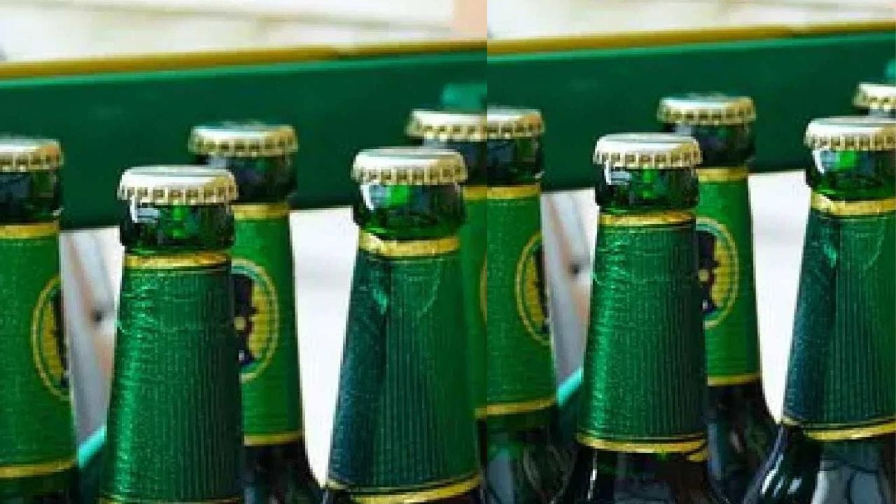 બિયરની બોટલનો રંગ લીલો કે બ્રાઉન હોવા પાછળનું કારણ ઘણું જૂનું છે. ઇજિપ્તમાં બિયરની બોટલનું ઉત્પાદન શરૂ થયું હતું. કંપનીઓને જાણવા મળ્યું કે પારદર્શક બોટલ પર સૂર્યપ્રકાશ એસિડને નુકસાન પહોંચાડે છે.