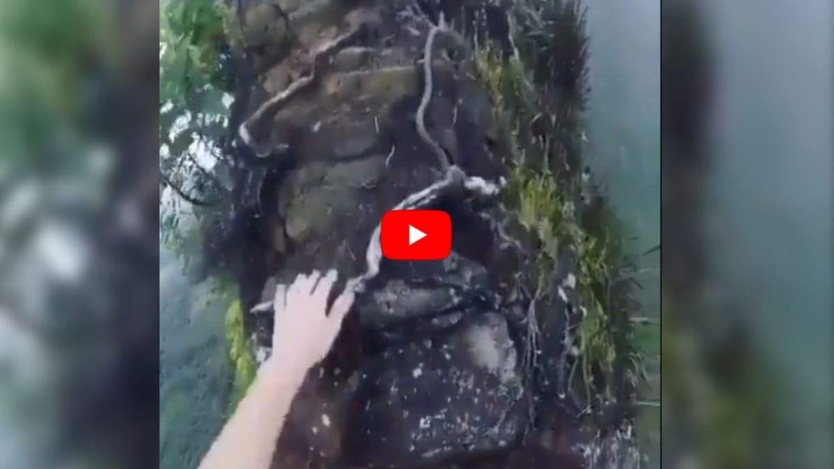 Hikers Viral Video: છોકરીએ એવી ખતરનાક જગ્યાએ ટ્રેકિંગ કર્યું કે, આ વીડિયો જોઈ લોકો ચીસો પોકારી ગયા Hikers Viral Video: છોકરીએ એવી ખતરનાક જગ્યાએ ટ્રેકિંગ કર્યું કે, આ વીડિયો જોઈ લોકો ચીસો પોકારી ગયા