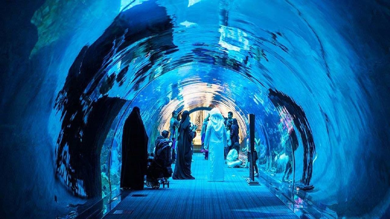 જો તમે દુબઈ જવા માટે આ પ્લાન લો છો તો એક વ્યક્તિનું પેકેજ ભાડું 101800 રૂપિયા હશે. બે થી ત્રણ વ્યક્તિઓ માટે પેકેજ ભાડું રૂ.85,100 રહેશે. બેડ સાથેના બાળકનું ભાડું 84400 રૂપિયા અને બેડ વગરનું ભાડું 73300 રૂપિયા છે.