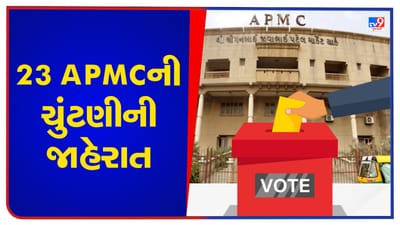 Breaking News : રાજ્યની 23 APMCની ચૂંટણીની તારીખ જાહેર, એપ્રિલ મહિનામાં યોજાશે 17 APMCની ચૂંટણી Breaking News : રાજ્યની 23 APMCની ચૂંટણીની તારીખ જાહેર, એપ્રિલ મહિનામાં યોજાશે 17 APMCની ચૂંટણી