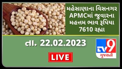 Mandi : મહેસાણાના વિસનગર APMCમાં જુવારના મહત્તમ ભાવ રૂપિયા 7610 રહ્યા, જાણો જુદા-જુદા પાકના ભાવ Mandi : મહેસાણાના વિસનગર APMCમાં જુવારના મહત્તમ ભાવ રૂપિયા 7610 રહ્યા, જાણો જુદા-જુદા પાકના ભાવ