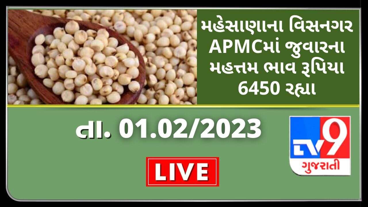 Mandi : મહેસાણાના વિસનગર APMCમાં જુવારના મહત્તમ ભાવ રૂપિયા 6450 રહ્યા, જાણો જુદા-જુદા પાકના ભાવ