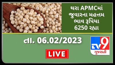 Mandi: થરા APMCમાં જુવારના મહત્તમ ભાવ રૂપિયા 6250 રહ્યા,જાણો જુદા-જુદા પાકના ભાવ