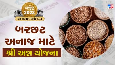 Agriculture Budget 2023: ખેડૂતો માટે સારા સમાચાર, બરછટ અનાજ માટે શ્રી અન્ન યોજના શરૂ, અન્નદાતાની આવકમાં થશે વધારો