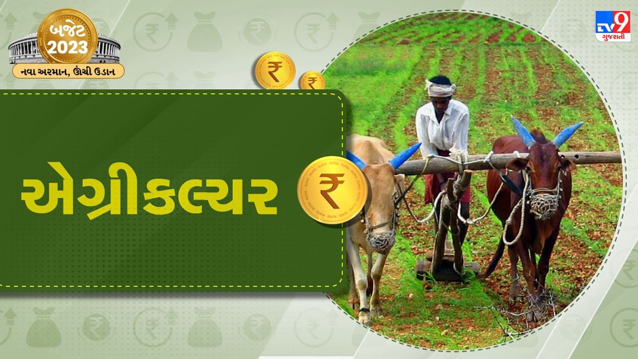 Agriculture Budget 2023: ખેડૂતો માટે નિર્મલા સીતારમણનો બૂસ્ટર ડોઝ, હવે દેશના ખેડૂતો ડિજિટલ થશે