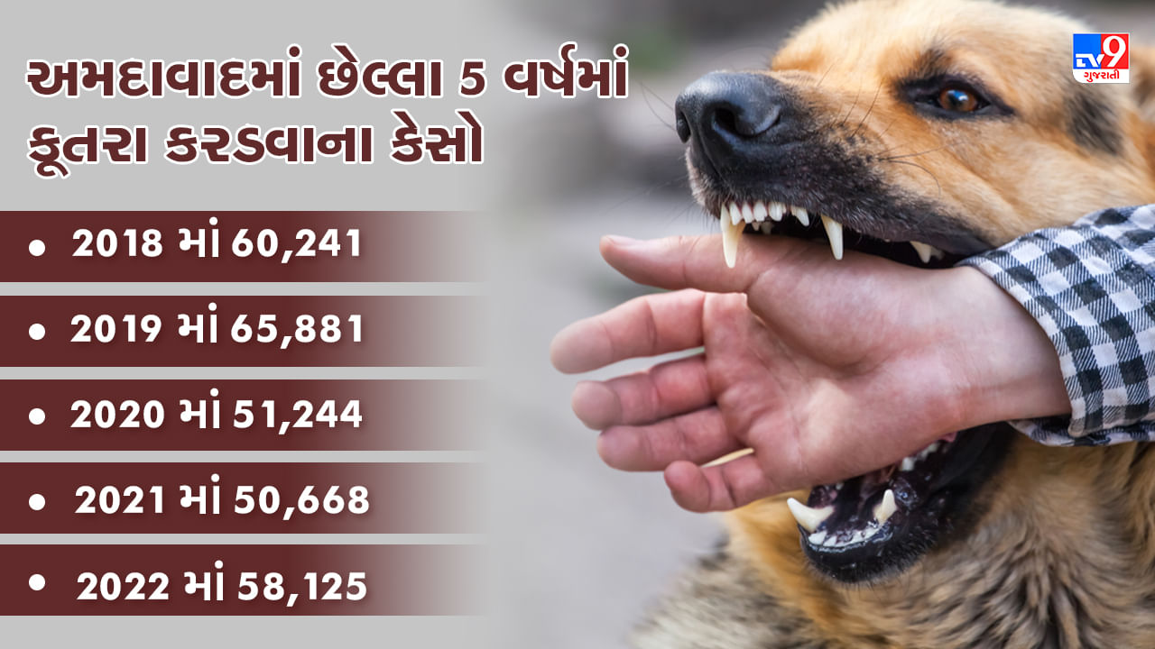 Ahmedabad Dog Bites Cases