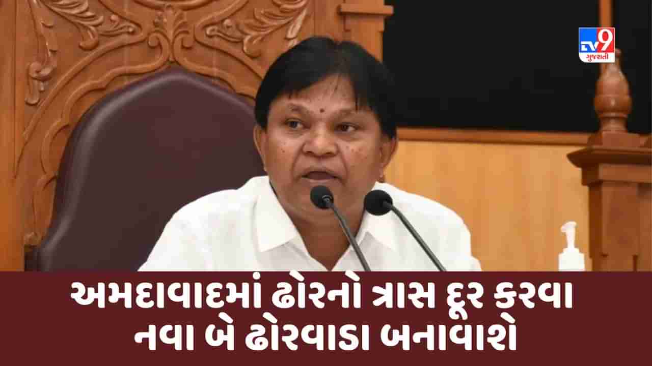 Gujarati Video : અમદાવાદમાં ઢોરનો ત્રાસ દૂર કરવા નવા બે ઢોરવાડા બનાવાશે : મેયર