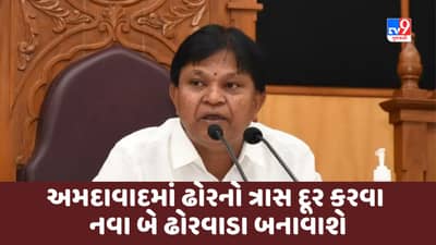 Gujarati Video : અમદાવાદમાં ઢોરનો ત્રાસ દૂર કરવા નવા બે ઢોરવાડા બનાવાશે : મેયર
