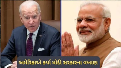 ભારતે આતંકવાદને કબરમાં દફનાવ્યો, અમેરિકાએ મોદી સરકારના કર્યા વખાણ