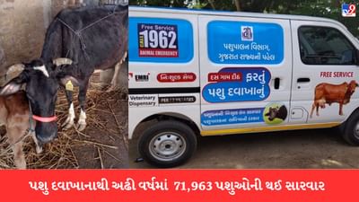 Anand: ફરતું પશુ દવાખાનું બન્યું દેવદૂત, વેટરનરી ડોક્ટરે 2 કલાકની આકરી મહેનત બાદ ગર્ભાશય બેસાડી ગાયનો જીવ બચાવ્યો
