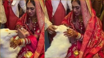 વિદાય દરમિયાન કૂતરો નથી છોડી રહ્યો દુલ્હનનો સાથ, જુઓ આ દિલને સ્પર્શી જાય તેવો Cute Viral Video