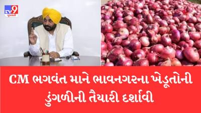 Gujarati Video: ભાવનગરના ખેડૂતોએ ડુંગળીના ભાવ મુદ્દે પંજાબના CM ભગવંત માનને કરી રજૂઆત, ભગવંત માને ડુંગળીની ખરીદીની તૈયારી દર્શાવી