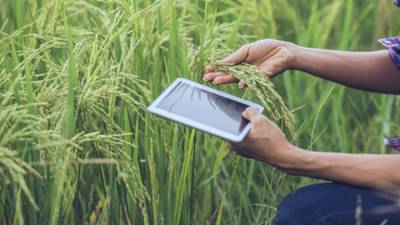 WhatsApp ચેટબોટને ChatGPT સાથે જોડવામાં આવશે, આ રીતે થશે ખેડૂતોને ફાયદો