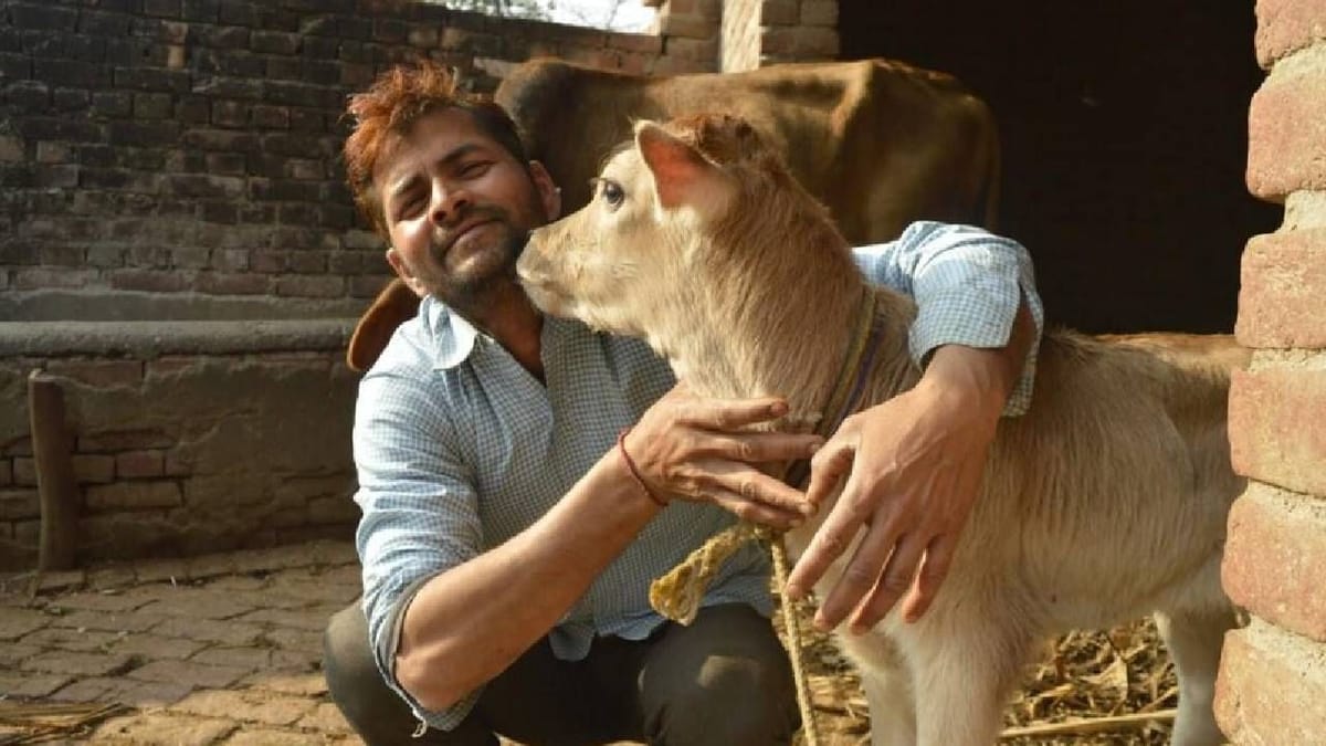 14 ફેબ્રુઆરીએ નહીં ઉજવવામાં આવે 'Cow Hug Day', પશુપાલન મંત્રાલયે નિર્ણય પાછો ખેંચવાનો આપ્યો આદેશ