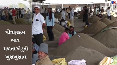 Gujarati Video: બોટાદ માર્કેટિંગ યાર્ડમાં જીરાની મબલખ આવક, ભાવ 6500 રૂપિયા સુધીનો મળતો હોવાથી ખેડૂતો ખુશખુશાલ