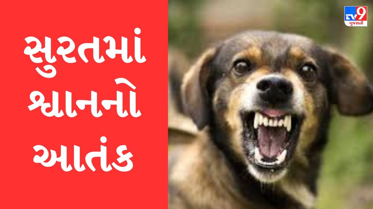 Gujarati Video : સુરત જિલ્લામાં રખડતા શ્વાને ફરી 7 વર્ષના બાળકને ભર્યા બચકા, અઢી મહીનામાં શ્વાન કરડવાનો આ પાંચમો બનાવ