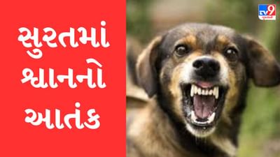 Gujarati Video : સુરત જિલ્લામાં રખડતા શ્વાને ફરી 7 વર્ષના બાળકને ભર્યા બચકા, અઢી મહીનામાં શ્વાન કરડવાનો આ પાંચમો બનાવ