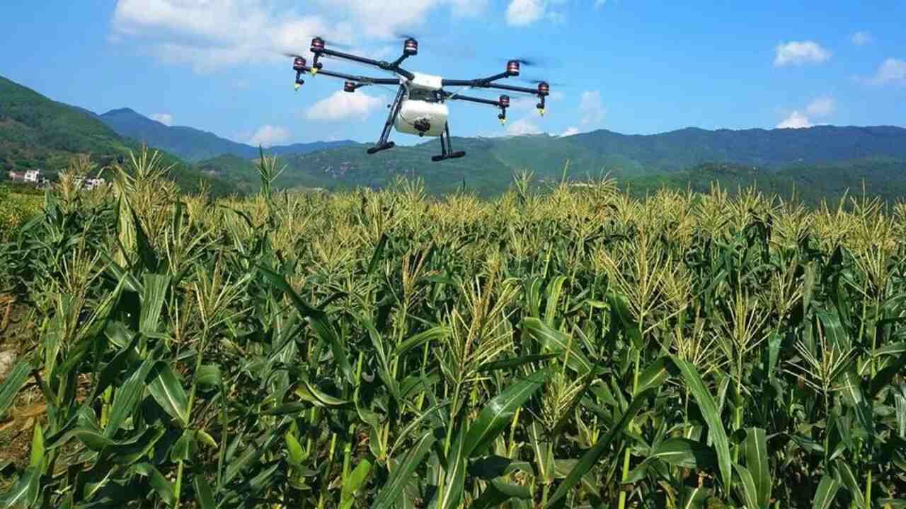 SBI will give loans to farmers to buy drones Farmers income Double Drone in Agriculture