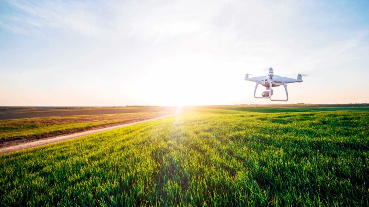SBI will give loans to farmers to buy drones Farmers income Double Drone in Agriculture