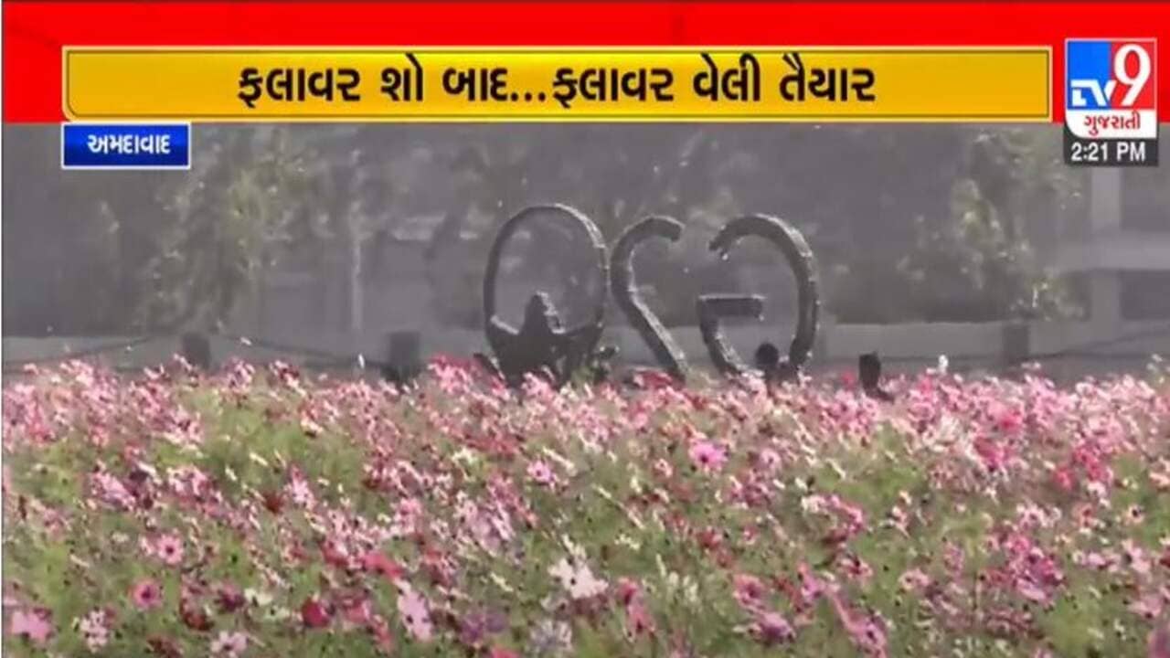 Gujarati Video : જમ્મૂ-કાશ્મીર અને ઉત્તરાખંડ જેવી ફ્લાવર વેલી અમદાવાદમાં જોવા મળશે, 7 ફેબ્રુઆરીથી મુલાકાતીઓ માટે મુકાશે ખુલ્લી