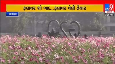Gujarati Video : જમ્મૂ-કાશ્મીર અને ઉત્તરાખંડ જેવી ફ્લાવર વેલી અમદાવાદમાં જોવા મળશે, 7 ફેબ્રુઆરીથી મુલાકાતીઓ માટે મુકાશે ખુલ્લી