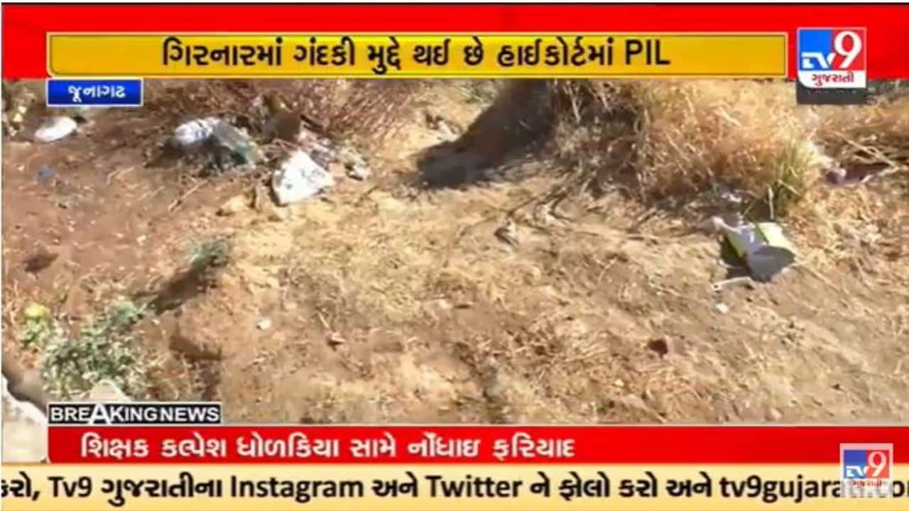 Gujarati Video : ગીરનાર પર્વત પર પ્રાથમિક સુવિધા ઉભી કરવા હાઇકોર્ટમાં જાહેર હિતની અરજી કરાઇ