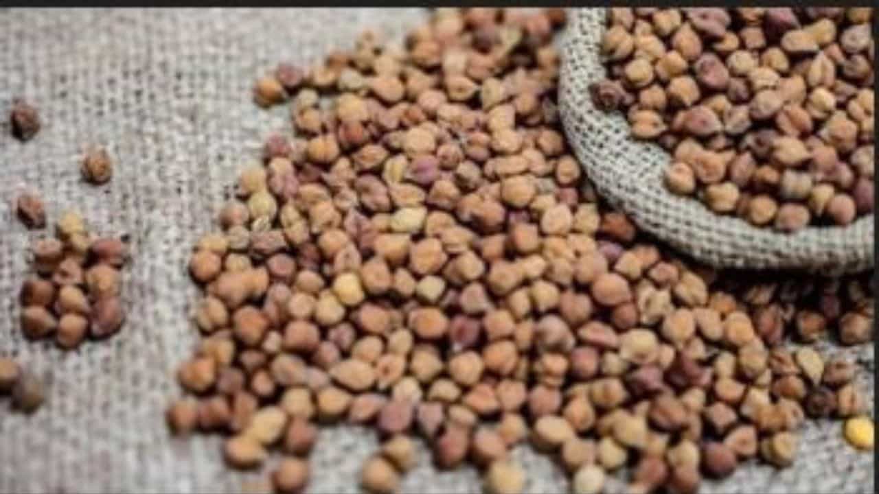 ગુજરાતના કૃષિ મંત્રી રાઘવજી પટેલે ચણાની ટેકાના ભાવે ખરીદીની મર્યાદા 40 ટકા કરવા કેન્દ્ર સરકારને રજુઆત કરી