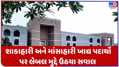ગુજરાતમાં શાકાહારી અને માંસાહારી ખાદ્ય પદાર્થો પર લીલા અને લાલ લેબલ મુદ્દે ઉઠ્યા સવાલ, હાઇકોર્ટે રાજ્ય અને કેન્દ્ર સરકાર પાસે માંગ્યો જવાબ
