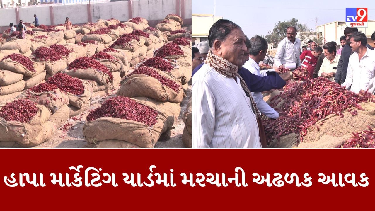 Jamnagar : હાપા માર્કેટિંગ યાર્ડમાં લાલ મરચાની મબલખ આવક, નવી આવક પર લગાવાઇ રોક