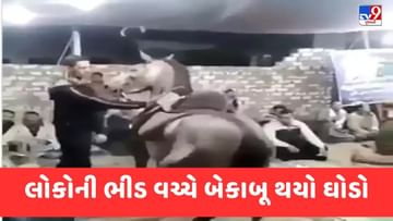 A horse became uncontrollable in the crowd of people, attacked many people,  see Viral Video – Horse Viral Video Horse attack trending funny viral video  see this viral Video Pipa News |