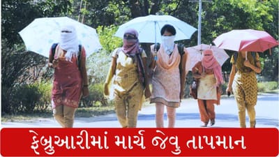 ફેબ્રુઆરીમાં માર્ચ જેવી ગરમી, ચિંતામાં હવામાન વિભાગ, શું માર્ચમાં થશે આનાથી પણ ખરાબ હાલ!